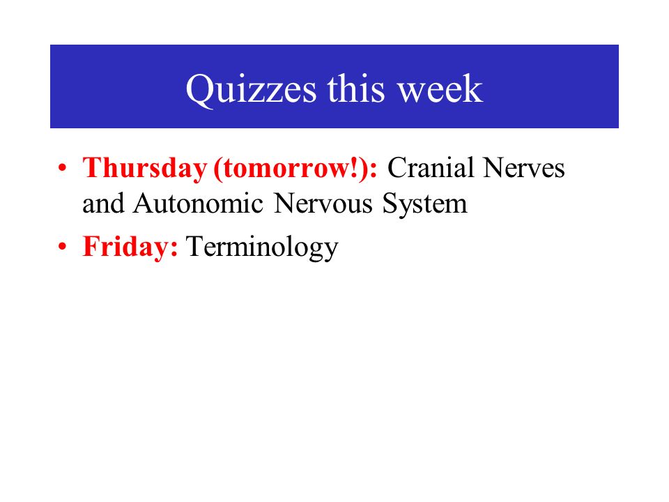 Quizzes this week Thursday (tomorrow!): Cranial Nerves and Autonomic Nervous System Friday: Terminology