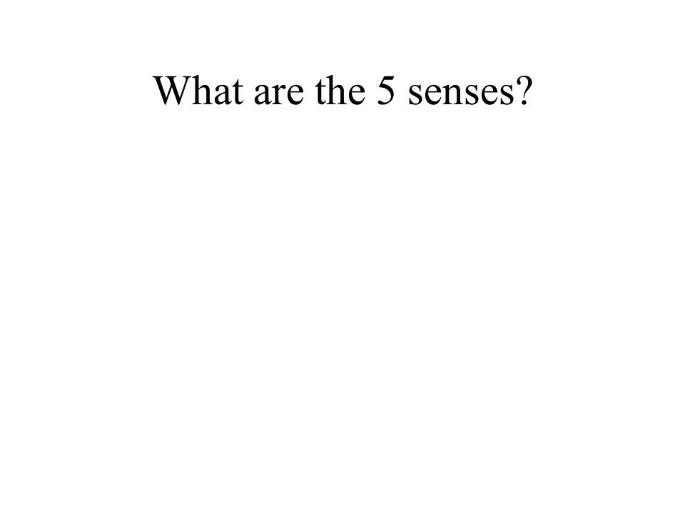 What are the 5 senses