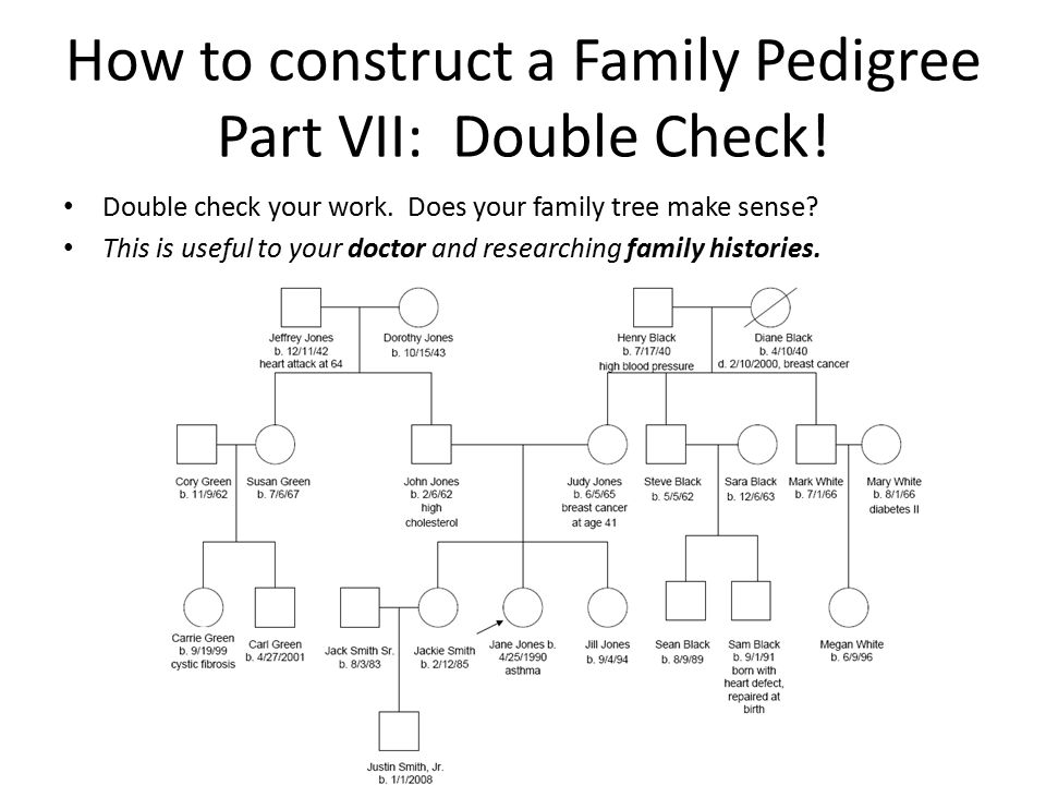 Asthma Pedigree Chart