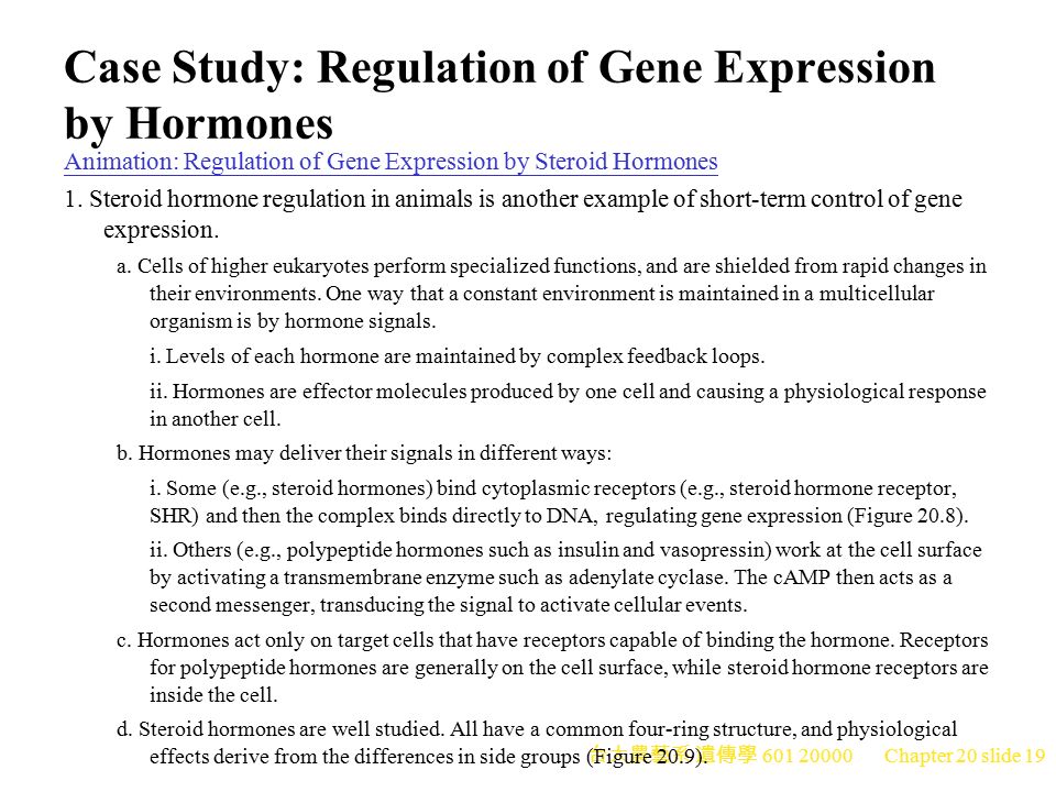 台大農藝系 遺傳學 Chapter 20 slide 1 CHAPTER 20 Regulation of Gene Expression in  Eukaryotes Peter J. Russell edited by Yue-Wen Wang Ph. D. Dept. of  Agronomy, - ppt download
