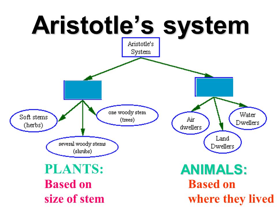 Classification A system of separating life by similar traits. - ppt download