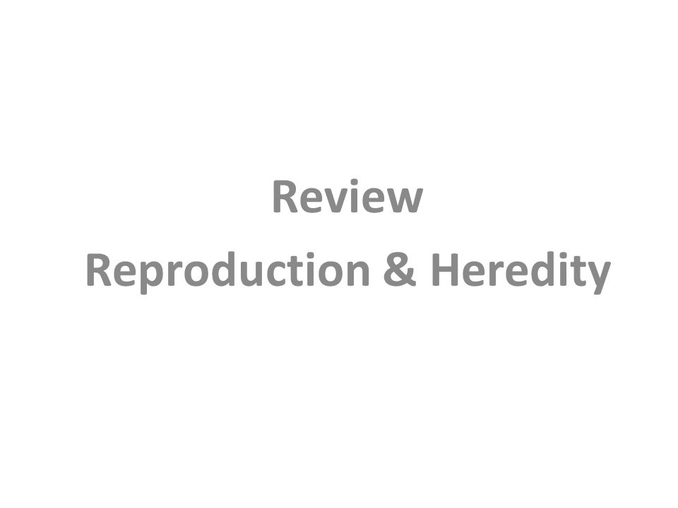 Review Reproduction & Heredity