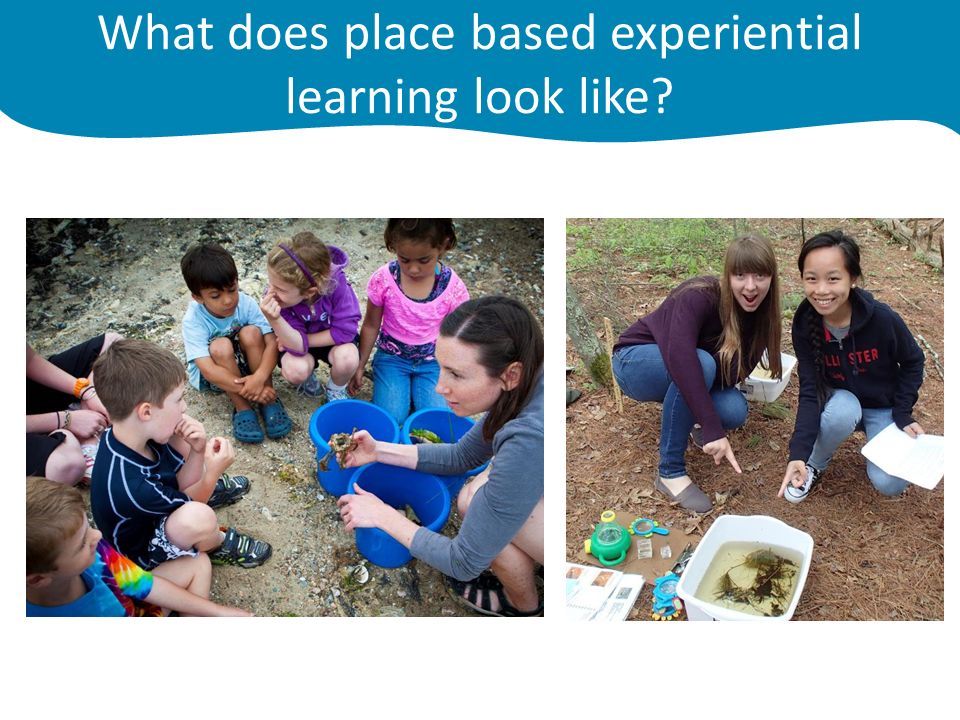 What does place based experiential learning look like