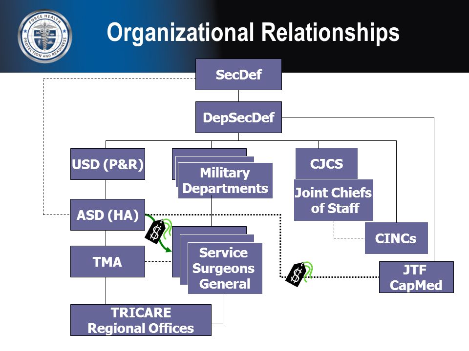 Asd Ha Organizational Chart