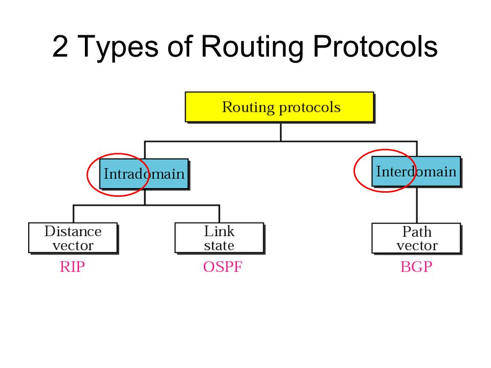 Border Gateway Protocol. Intra-AS v.s. Inter-AS Intra-AS Inter-AS. - ppt  download