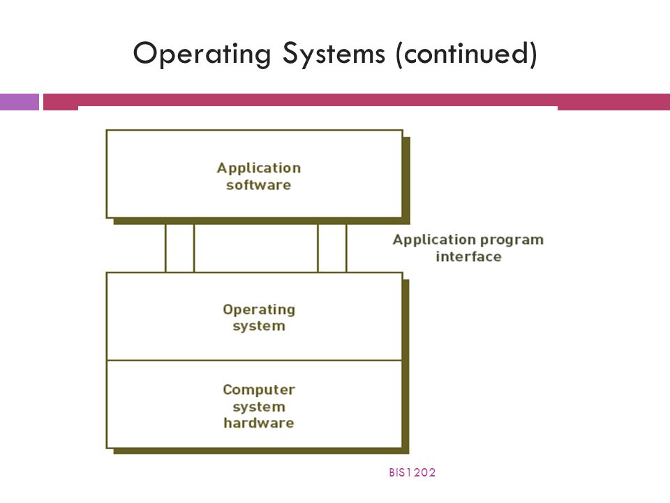 Operating Systems (continued) BIS1202
