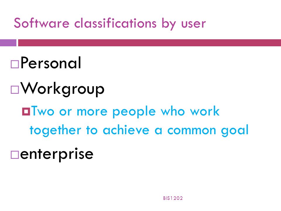 Software classifications by user  Personal  Workgroup  Two or more people who work together to achieve a common goal  enterprise BIS1202