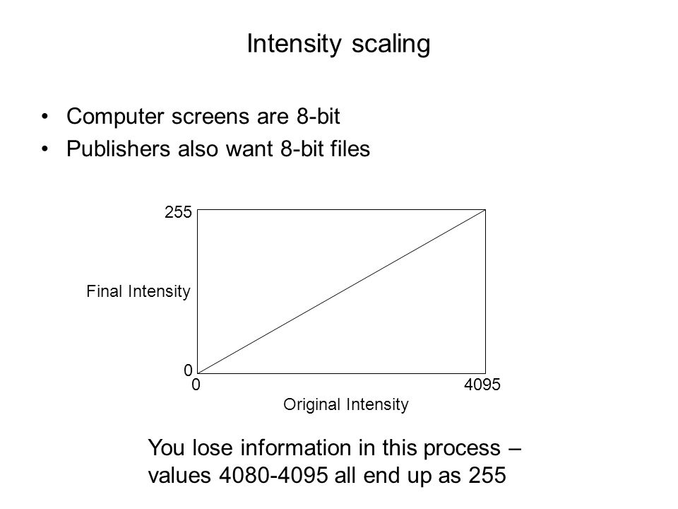 Intensity scaling Computer screens are 8-bit Publishers also want 8-bit files Original Intensity Final Intensity You lose information in this process – values all end up as 255
