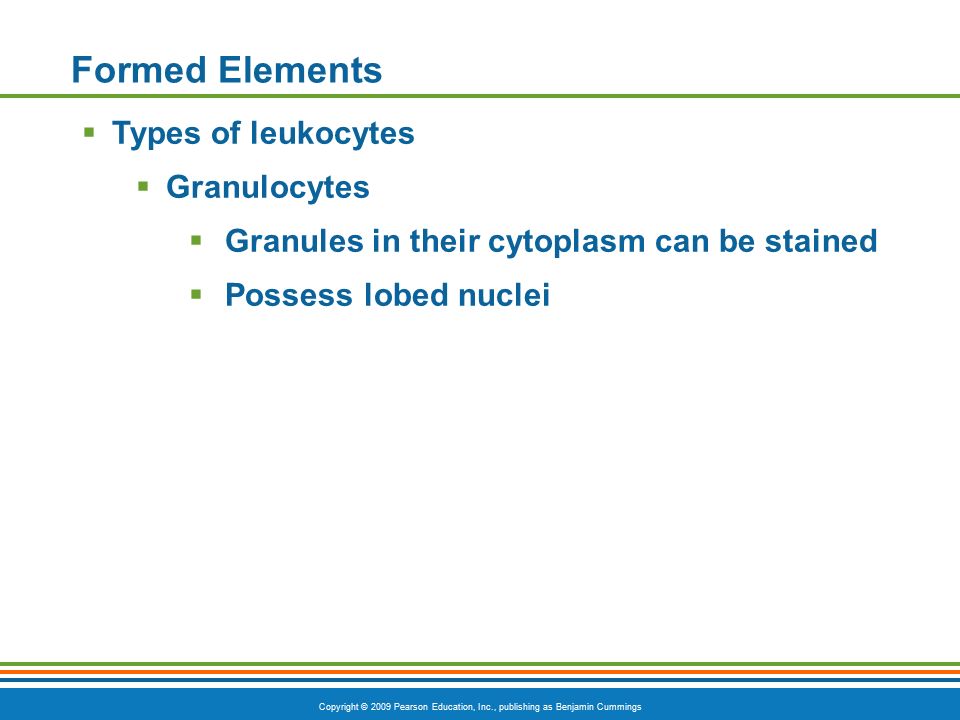 Copyright © 2009 Pearson Education, Inc., publishing as Benjamin Cummings Formed Elements  Types of leukocytes  Granulocytes  Granules in their cytoplasm can be stained  Possess lobed nuclei
