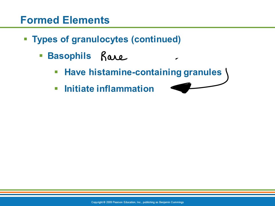 Copyright © 2009 Pearson Education, Inc., publishing as Benjamin Cummings Formed Elements  Types of granulocytes (continued)  Basophils  Have histamine-containing granules  Initiate inflammation