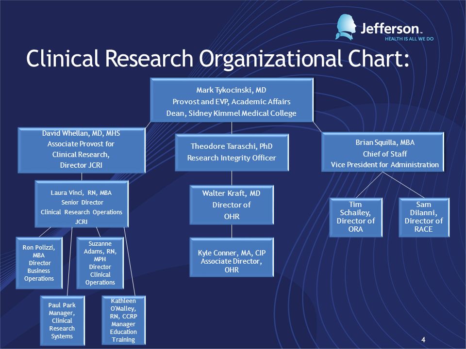 Clinical Research Org Chart