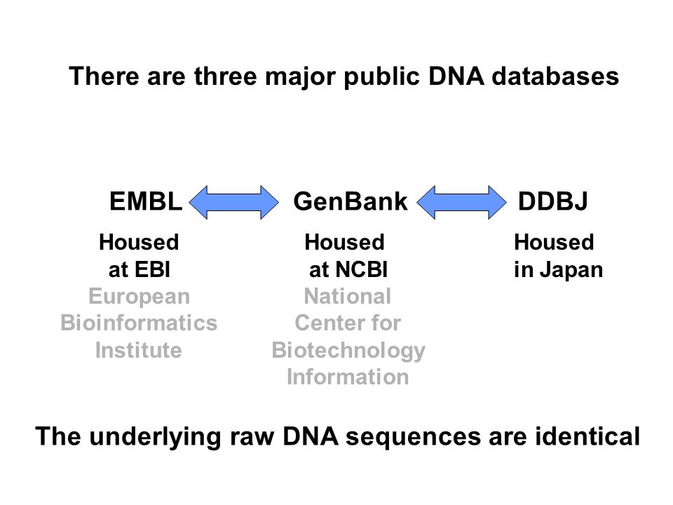 GenBankEMBLDDBJ Housed at EBI European Bioinformatics Institute There are three major public DNA databases Housed at NCBI National Center for Biotechnology Information Housed in Japan The underlying raw DNA sequences are identical