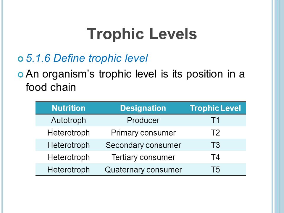 topic 5 ecology and evolution definitions define species habitat 13 trophic