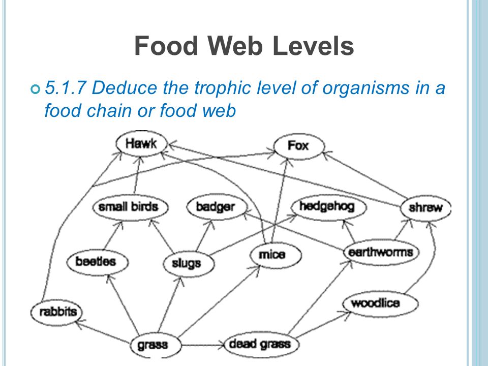 topic 5 ecology and evolution definitions define species habitat trophic level is its position in a food chain 14 food