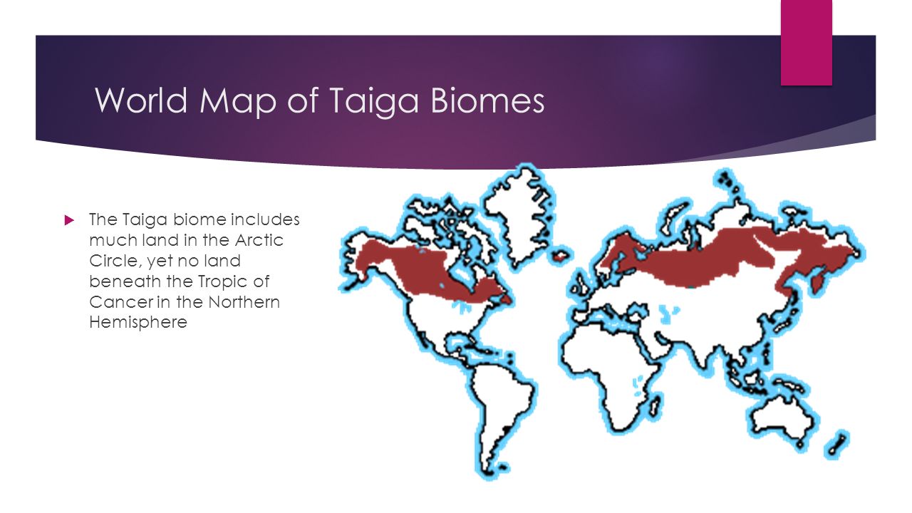 taiga biome map