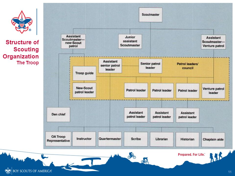 Boy Scout Troop Organization Chart