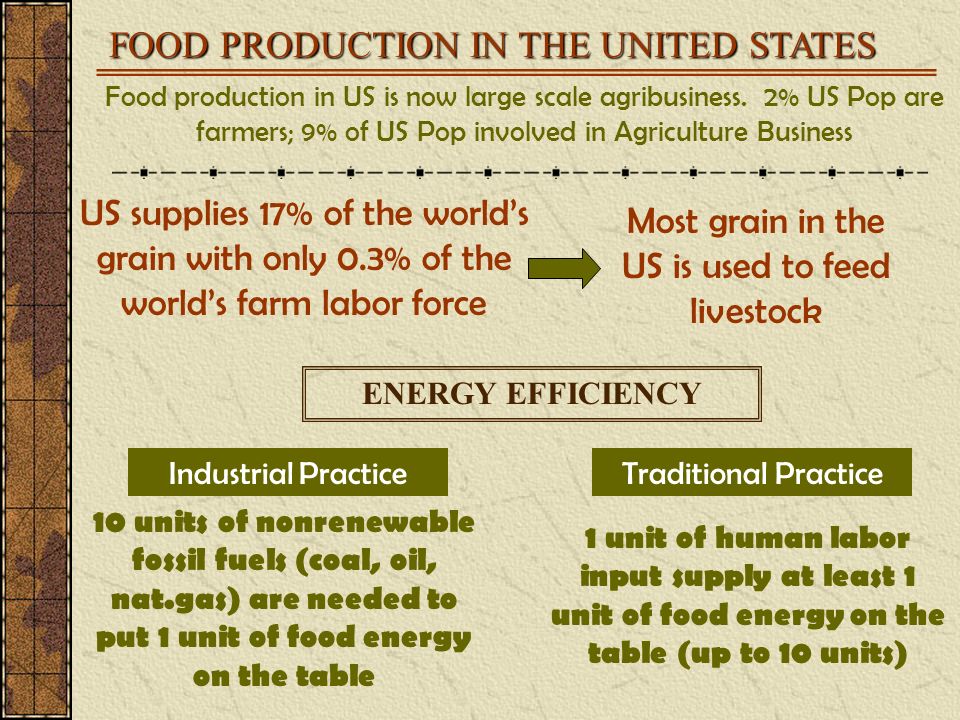 FOOD PRODUCTION IN THE UNITED STATES Food production in US is now large scale agribusiness.