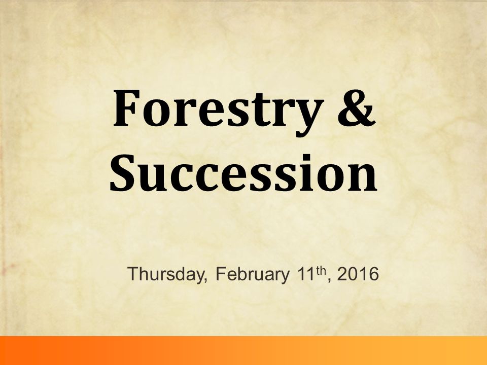 Forestry & Succession Thursday, February 11 th, 2016