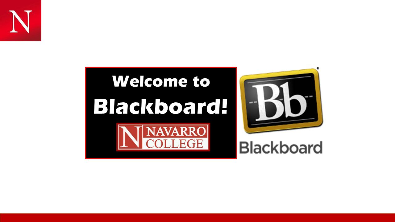 Welcome to Blackboard!