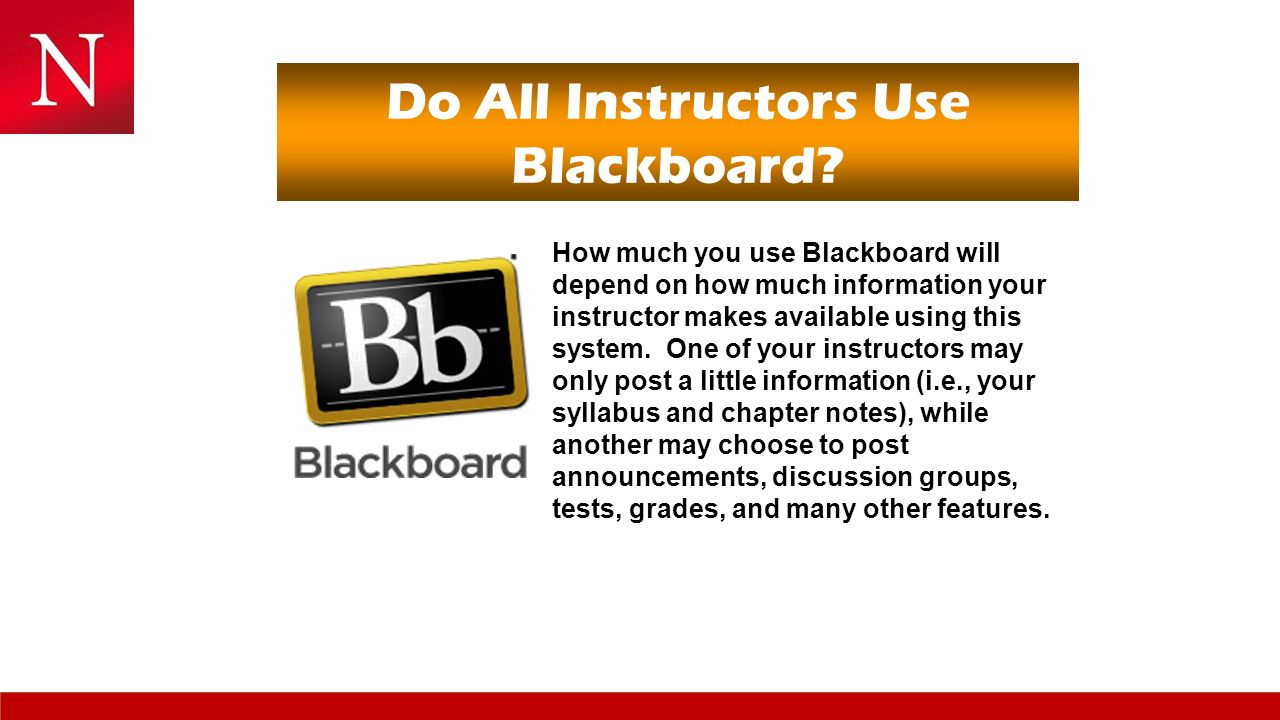Do All Instructors Use Blackboard.