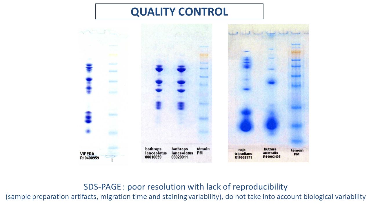 9 QUALITY CONTROL SDS-PAGE : poor resolution with lack of reproducibility (sample preparation artifacts, migration time and staining variability), do not take into account biological variability