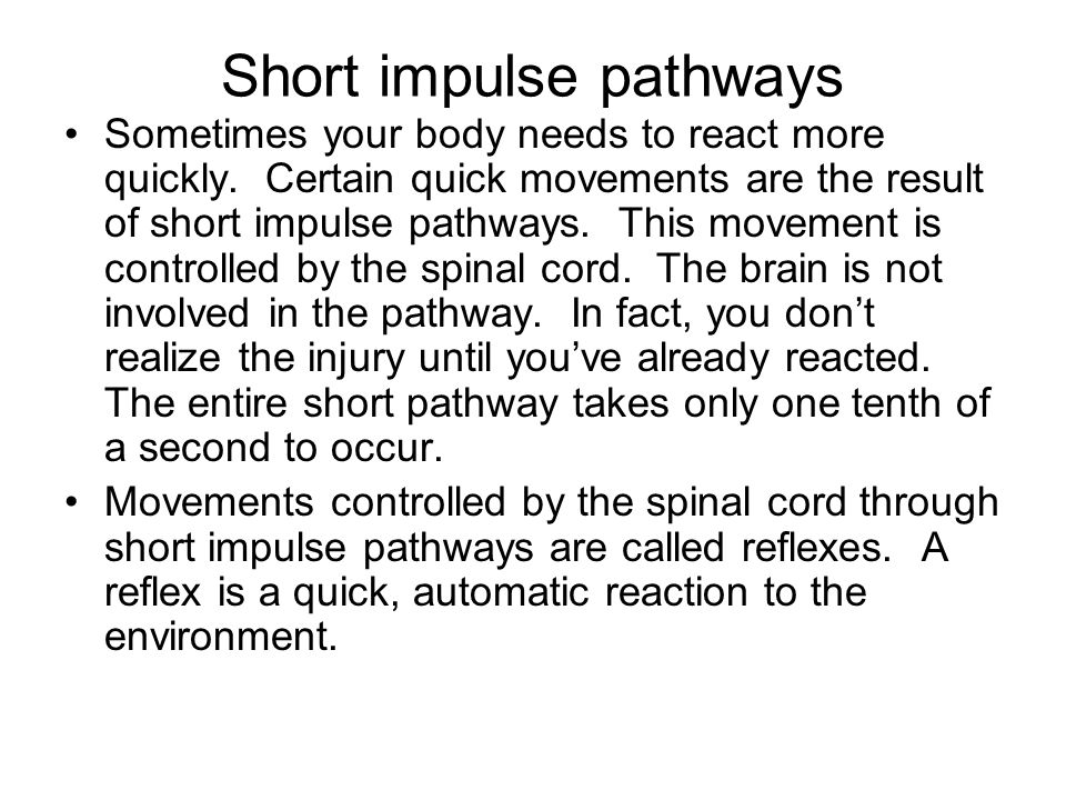 Short impulse pathways Sometimes your body needs to react more quickly.