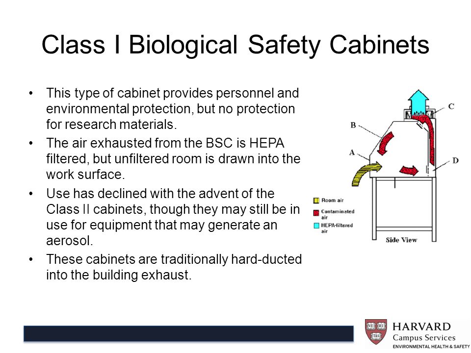 Biological Safety Cabinets And Disinfection Sean Fitzgerald