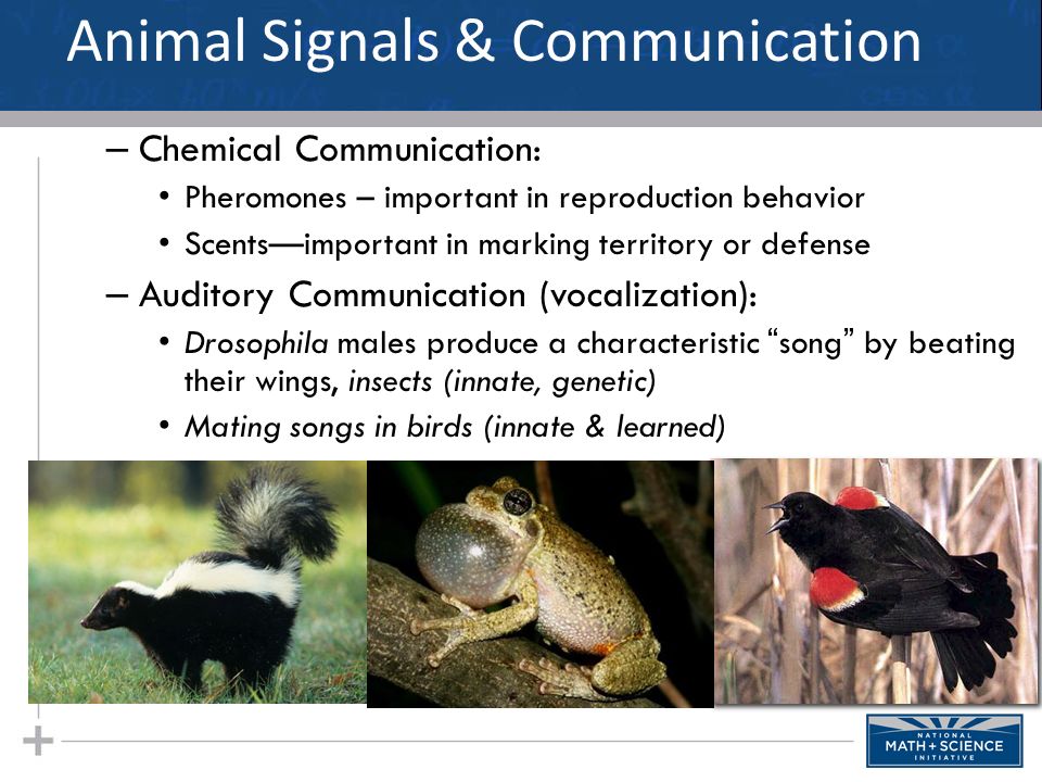 Animal Signals & Communication Signal - behavior that causes change in another’s behavior Communication involves the transmission of, reception of, and response to signals between animals – Animal communication is any behavior on the part of one animal that has an effect on the current or future behavior of another animal.