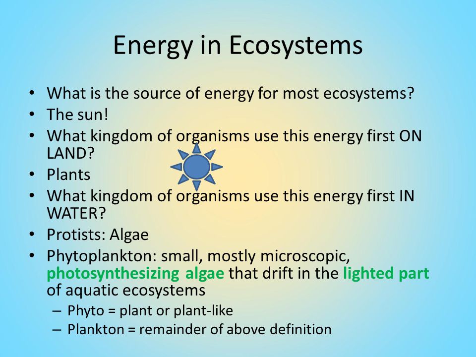 what is the fist souce of energy for most ecosytem Diamond white bbw