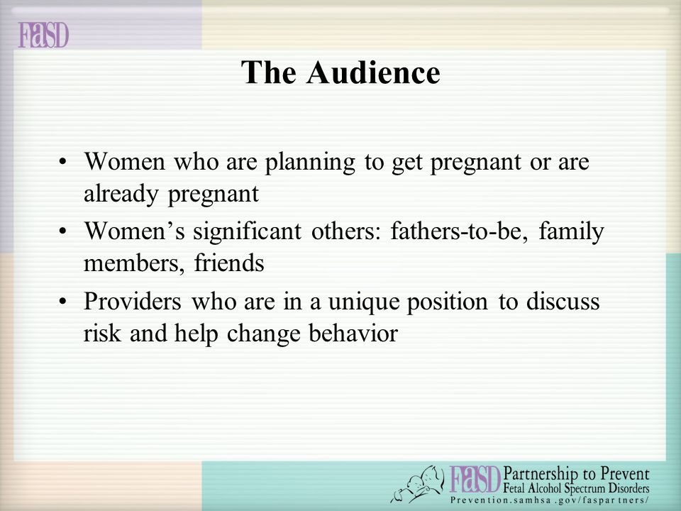 The Audience Women who are planning to get pregnant or are already pregnant Women’s significant others: fathers-to-be, family members, friends Providers who are in a unique position to discuss risk and help change behavior