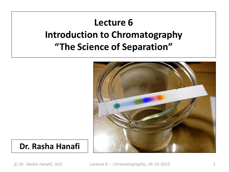 Information resources on chromatographic methods and techniques.