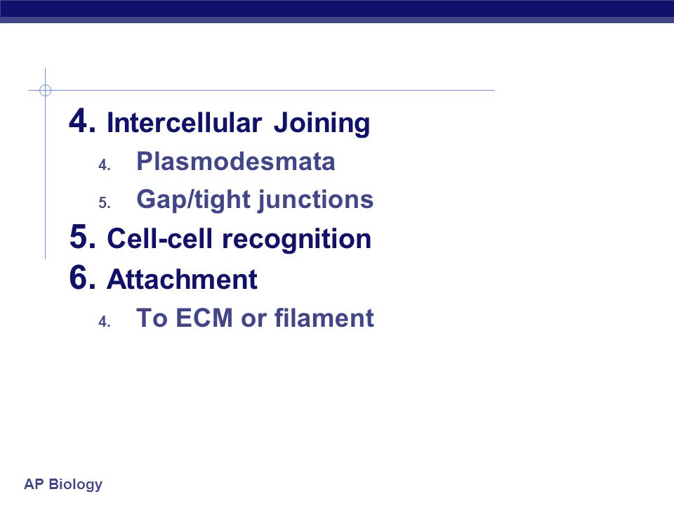 AP Biology Functions of Proteins in Cell Membrane 1.