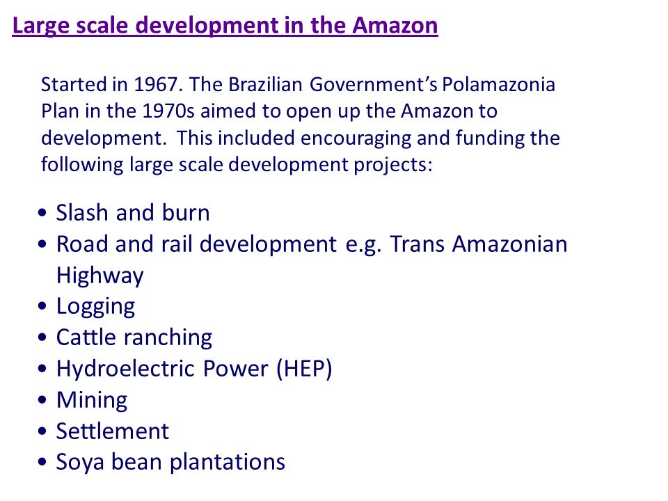 The Amazon Rainforest. Objectives Use a mind map technique to identify and  give detail about developments in the Amazon Rainforest Page. - ppt download