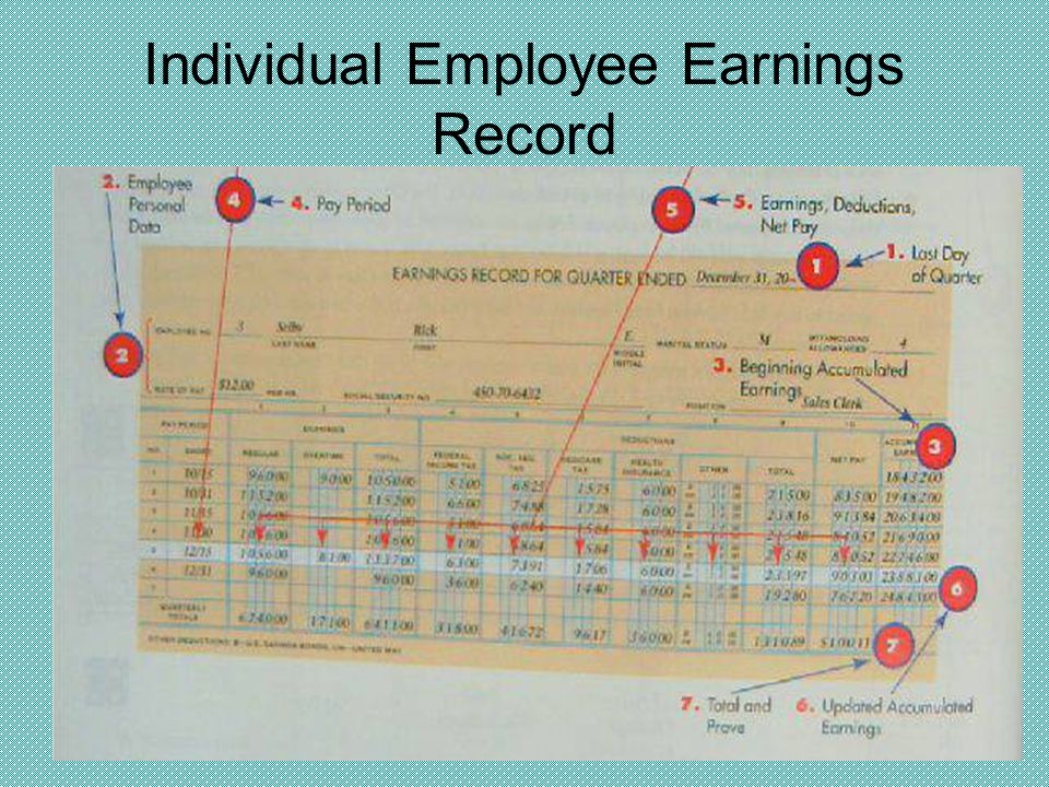 Individual Employee Earnings Record