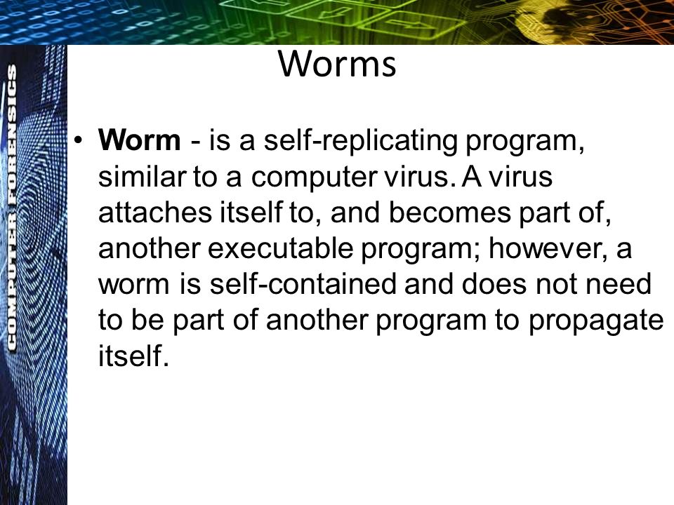 korgo worm virus