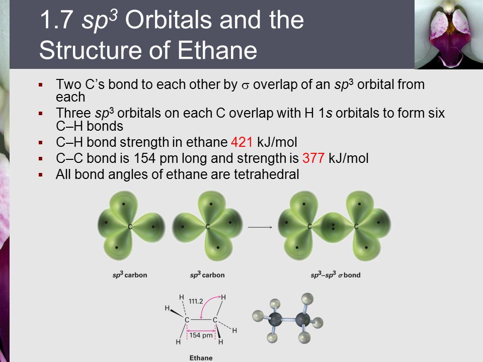  Two C’s bond to each other by  overlap of an sp 3 orbital from each  Three sp 3 orbitals on each C overlap with H 1s orbitals to form six C–H bonds  C–H bond strength in ethane 421 kJ/mol  C–C bond is 154 pm long and strength is 377 kJ/mol  All bond angles of ethane are tetrahedral 1.7 sp 3 Orbitals and the Structure of Ethane