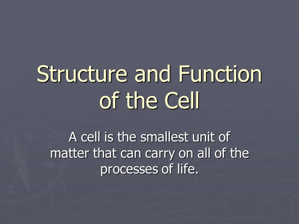 Structure and Function of the Cell A cell is the smallest unit of matter that can carry on all of the processes of life.