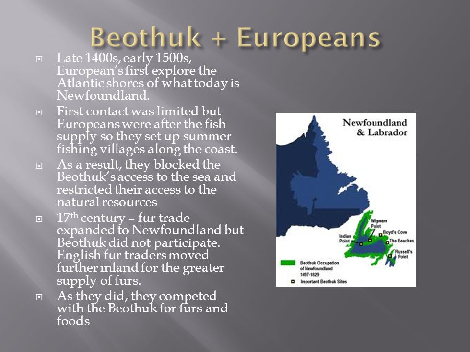  Late 1400s, early 1500s, European’s first explore the Atlantic shores of what today is Newfoundland.