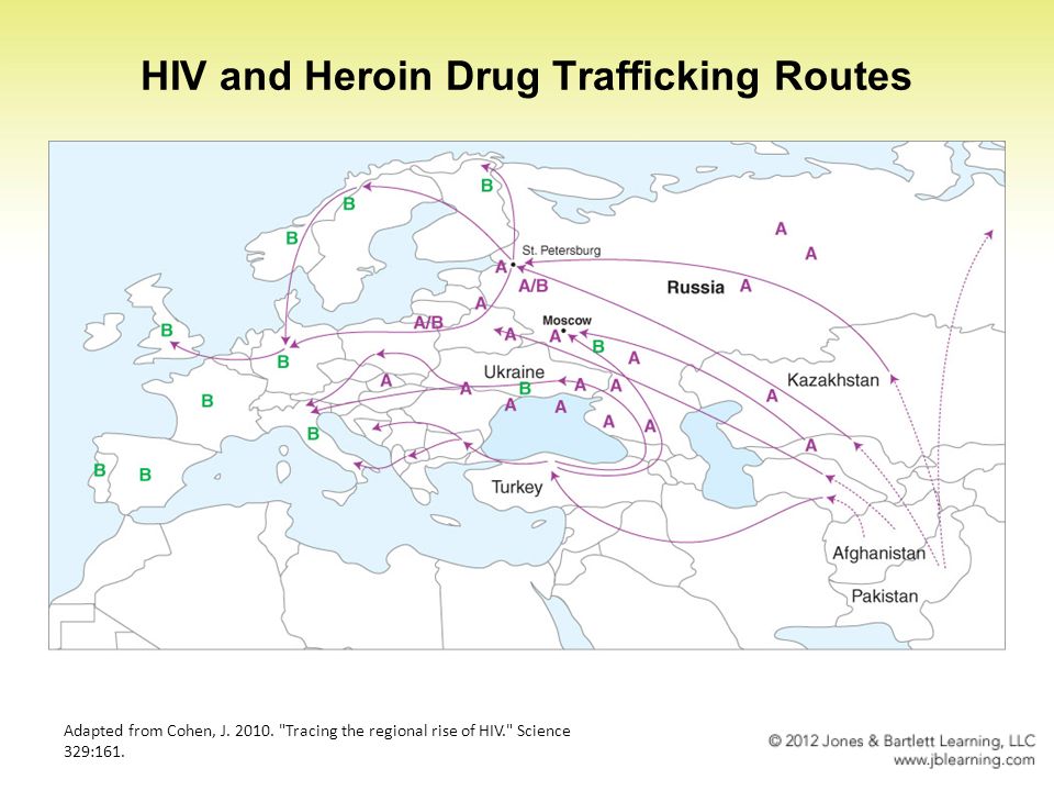Human Immunodeficiency Virus (HIV) 16. World Map: People Living ...