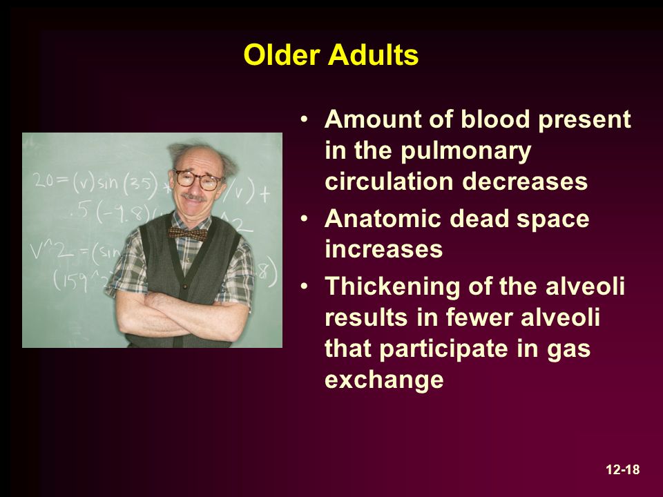 Older Adults Amount of blood present in the pulmonary circulation decreases Anatomic dead space increases Thickening of the alveoli results in fewer alveoli that participate in gas exchange 12-18