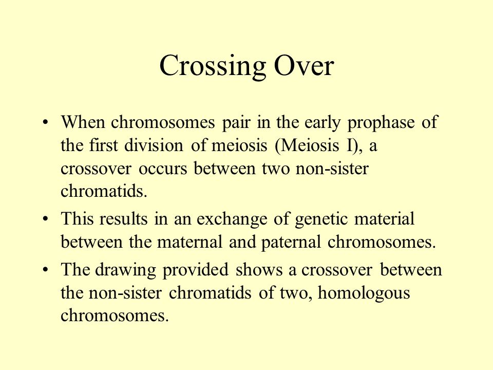 Crossing Over When chromosomes pair in the early prophase of the first division of meiosis (Meiosis I), a crossover occurs between two non-sister chromatids.
