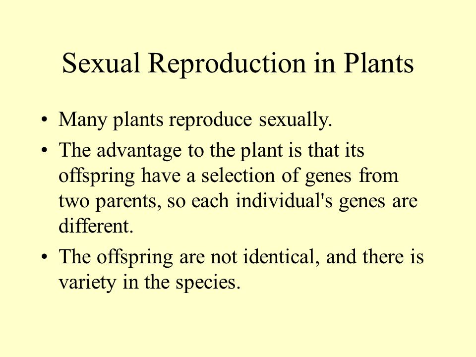 Sexual Reproduction in Plants Many plants reproduce sexually.