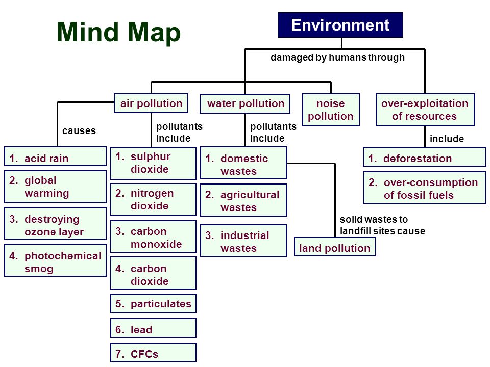 Wordwall problems. Environment Mind Map. Mindmap Environmental problems. Mind Map environment pollution. Mind Map Environmental problems.
