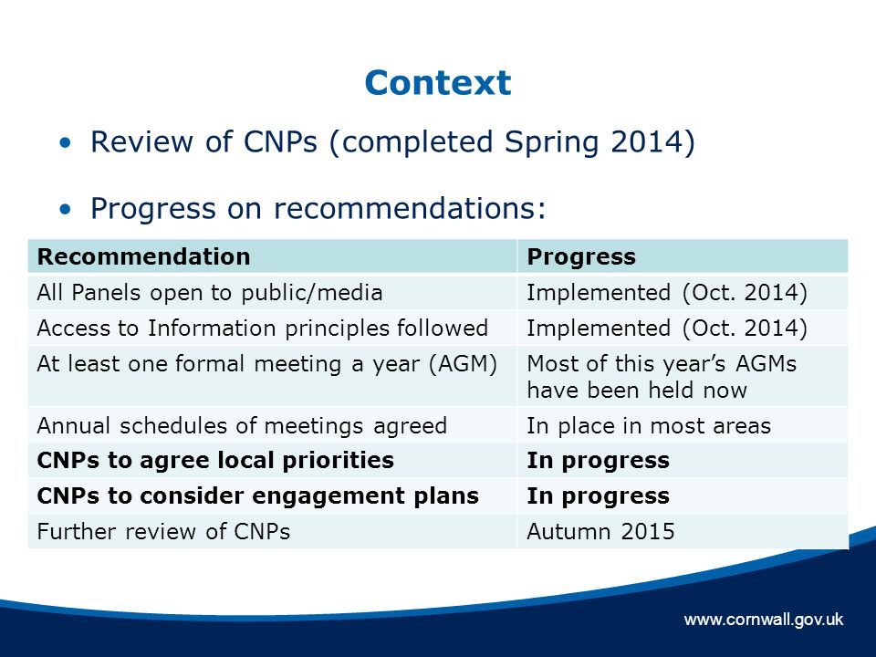 Context Review of CNPs (completed Spring 2014) Progress on recommendations: RecommendationProgress All Panels open to public/mediaImplemented (Oct.