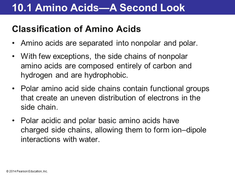 © 2014 Pearson Education, Inc. Chapter 10 Proteins—Workers of the Cell ...