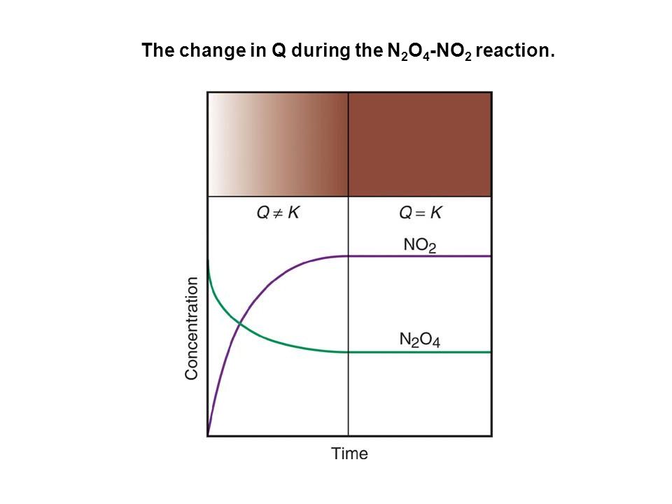 The change in Q during the N 2 O 4 -NO 2 reaction.