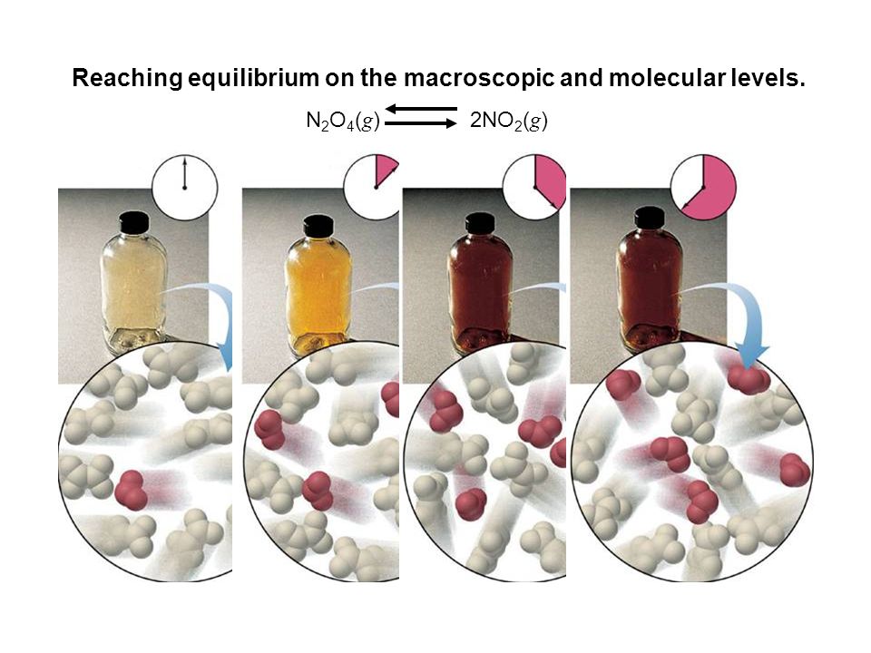 Reaching equilibrium on the macroscopic and molecular levels. N 2 O 4 ( g ) 2NO 2 ( g )