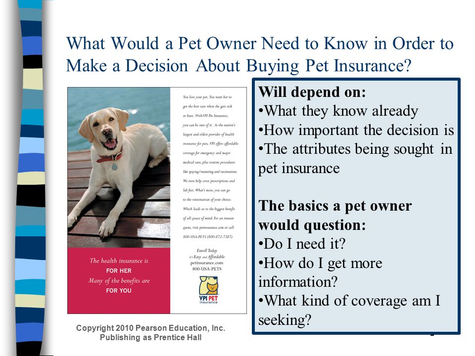 Переводчик pet. What is Pet insurance. Pets анализ. Declaration of the Pet owner. Pets Rules.