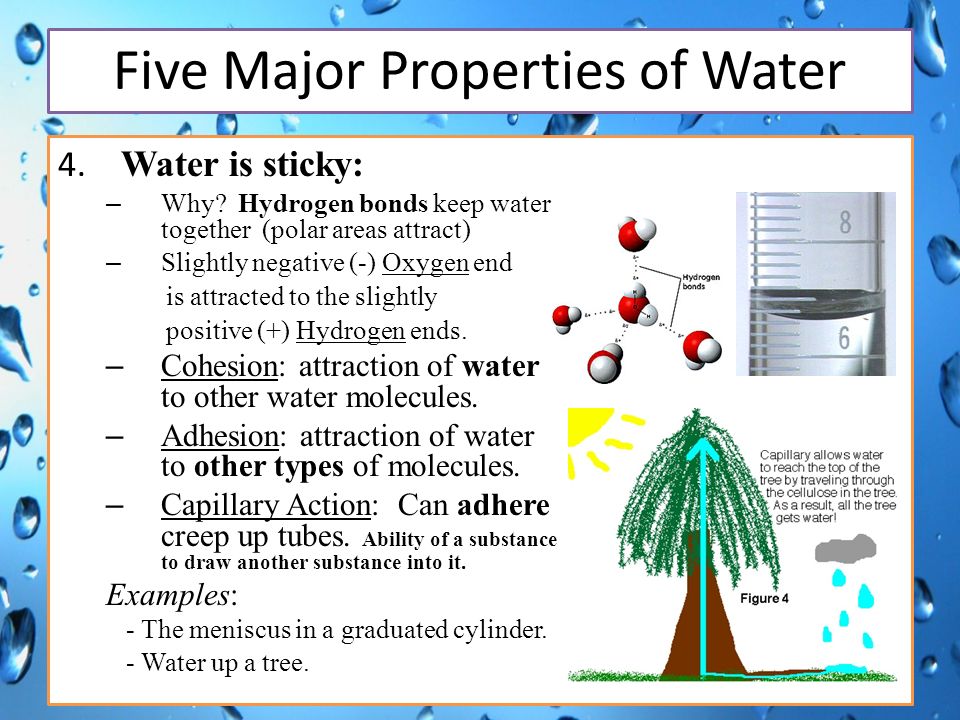 major properties of water