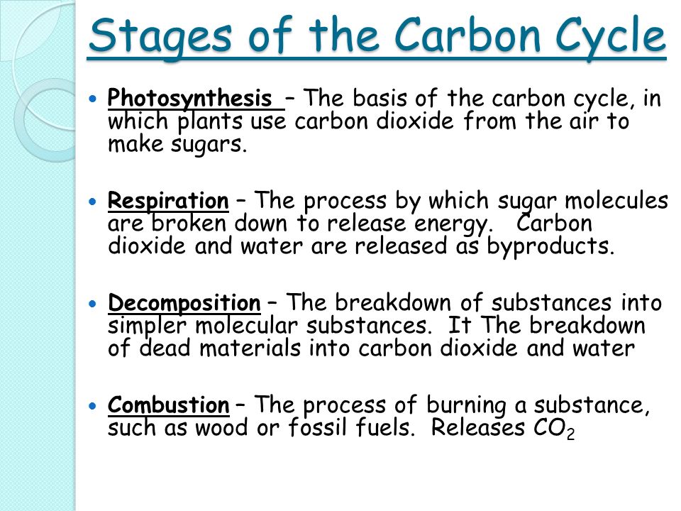 the scientific essay examples tok